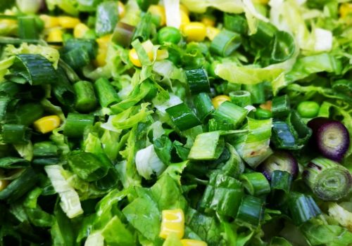 Salata, Zelena Oaza