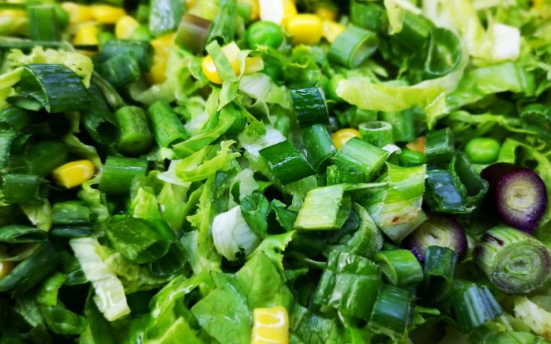 Salata, Zelena Oaza